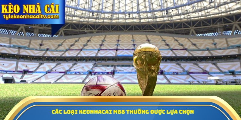 Các loại Keonhacai M88 thường được lựa chọn