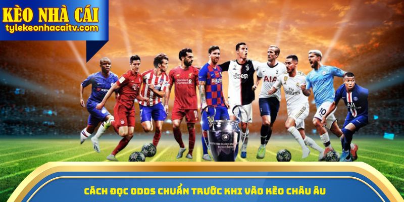 Cách đọc odds chuẩn trước khi vào kèo châu Âu 