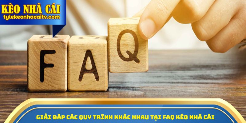Giải đáp các quy trình khác nhau tại Faq kèo nhà cái