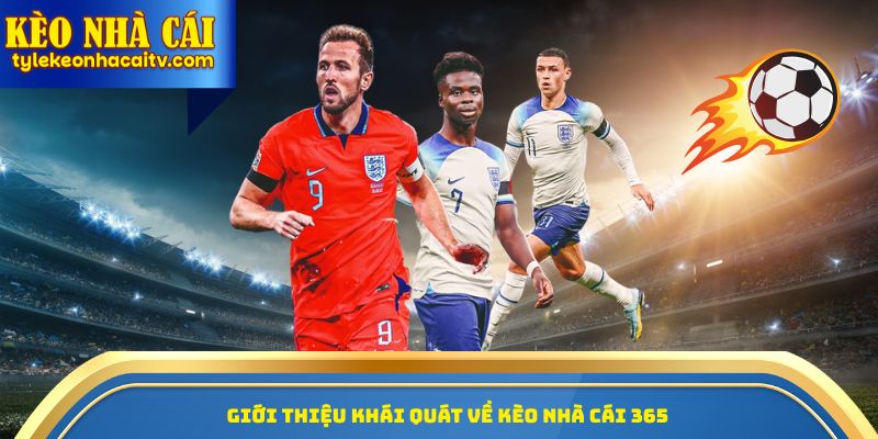 Giới thiệu khái quát về kèo nhà cái 365 