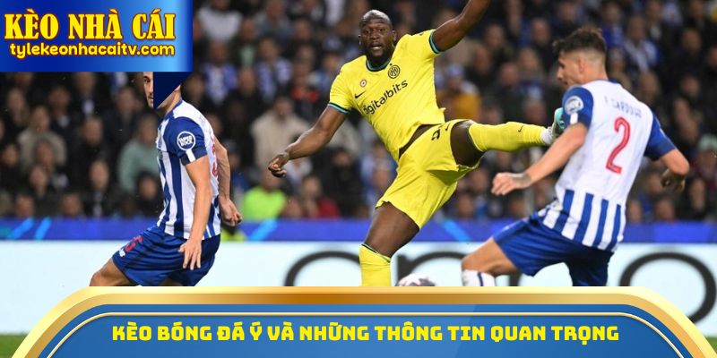 Kèo bóng đá Ý và những thông tin quan trọng