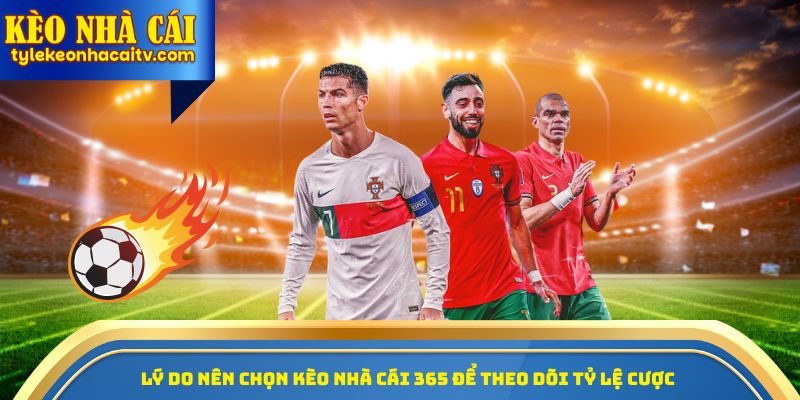 Lý do nên chọn kèo nhà cái 365 để theo dõi tỷ lệ cược