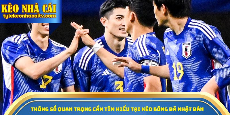 Thông số quan trọng cần tìm hiểu tại kèo bóng đá Nhật Bản