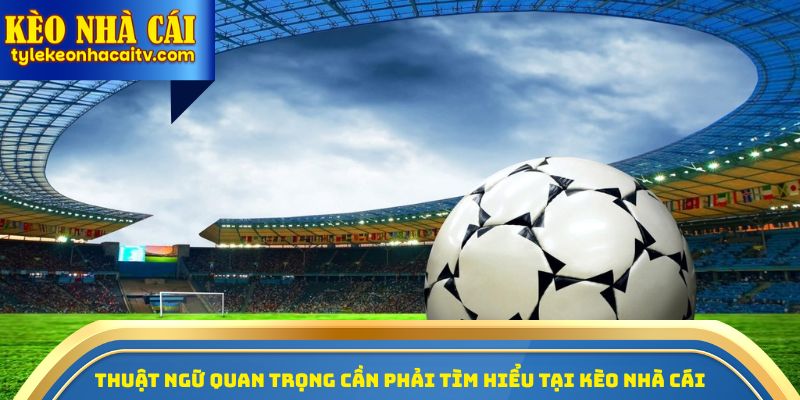 Thuật ngữ quan trọng cần phải tìm hiểu tại Kèo nhà cái