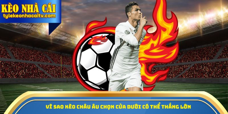 Vì sao kèo châu Âu chọn cửa dưới có thể thắng lớn