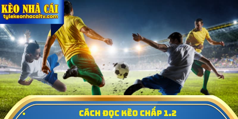 Cách đọc kèo chấp 1.2