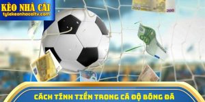 Cách Tính Tiền Trong Cá Độ Bóng Đá