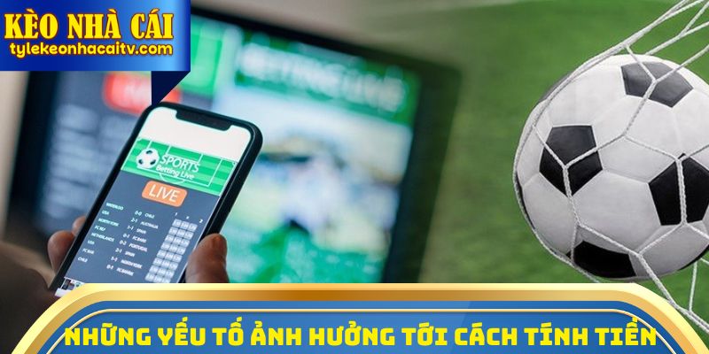 Những yếu tố quan trọng ảnh hưởng tới cách tính tiền cược