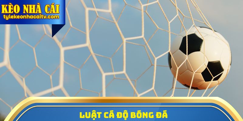 Luật Cá Độ Bóng Đá
