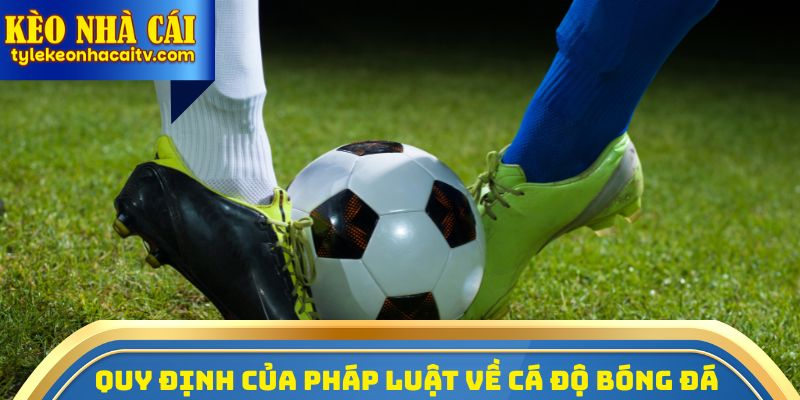 Luật cá độ bóng đá được quy định ra sao?