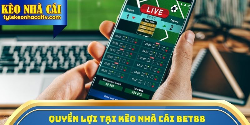 Quyền lợi tại Kèo nhà cái Bet88