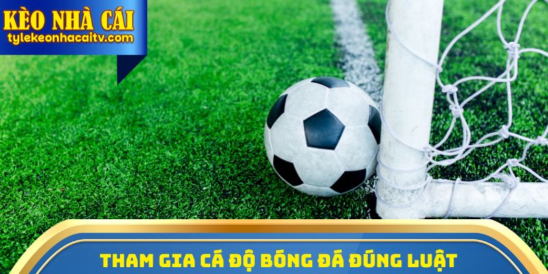 Tham gia cá độ bóng đá tại keonhacai là hợp pháp