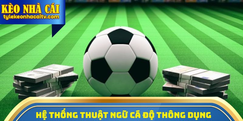 Hệ thống các thuật ngữ cá độ bóng đá thông dụng nhất 2026