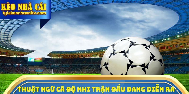 Thuật ngữ cá độ bóng đá khi trận đấu đang trực tiếp diễn ra