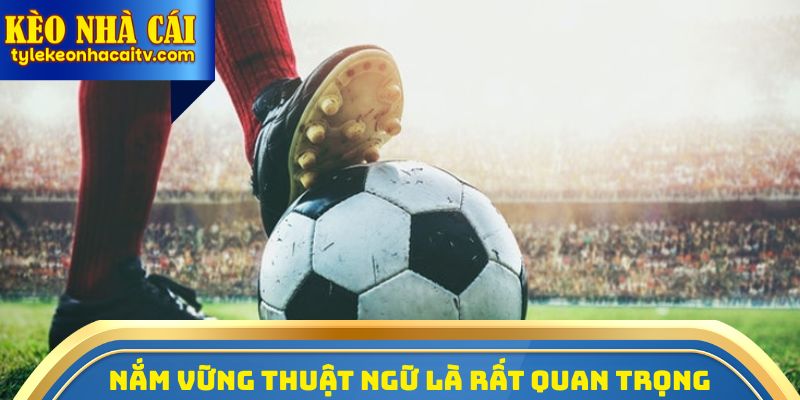 Việc nắm vững thuật ngữ cá độ bóng đá là rất quan trọng