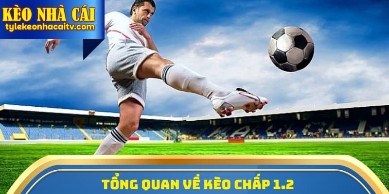 Tổng quan về kèo chấp 1.2